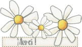 mercimarguerites.gif