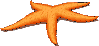 etoile_de_mer003.gif