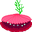 Coquillage-2.gif