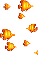 POISSON-FLOATIE.gif