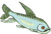 poisson_gardon.gif