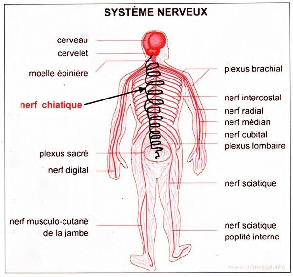 Les exercices pour maigrir en un mois
