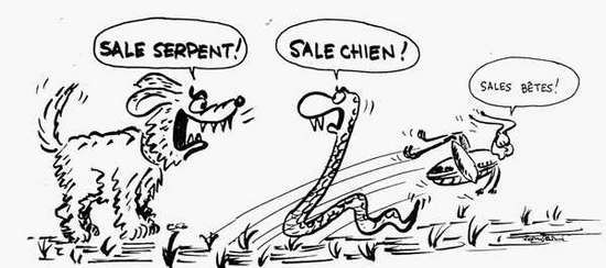 Racisme
