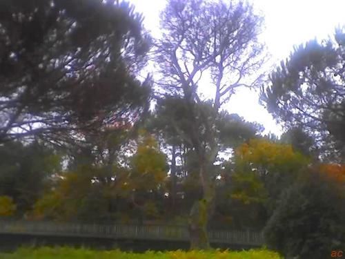 14-11-07-0937.jpg
