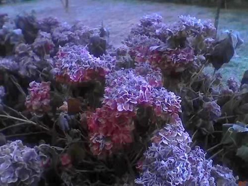 17-11-07-0759.jpg