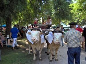 Photo-003-copie-1.jpg