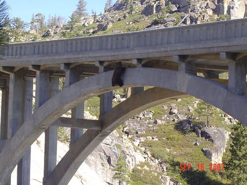 Picture-006.jpg
