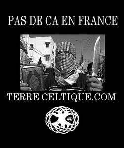 AFFICHE-TC8-1--copie-1.JPG