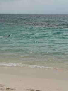 Carthagène - Colombie Playa Blanca Barú