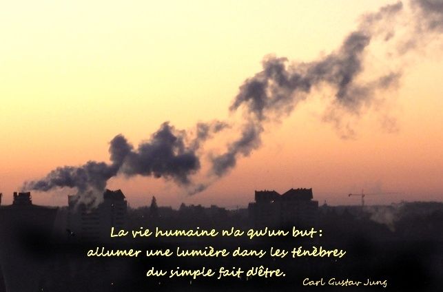 a la rencontre de carl gustav jung