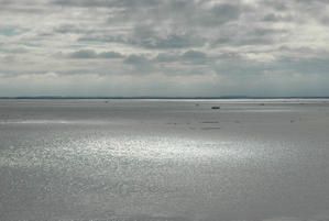 citar-2013.jpg