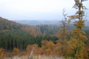 IMG-7821.JPG