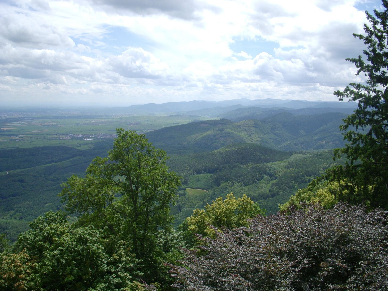 La plaine d'Alsace depuis les remparts