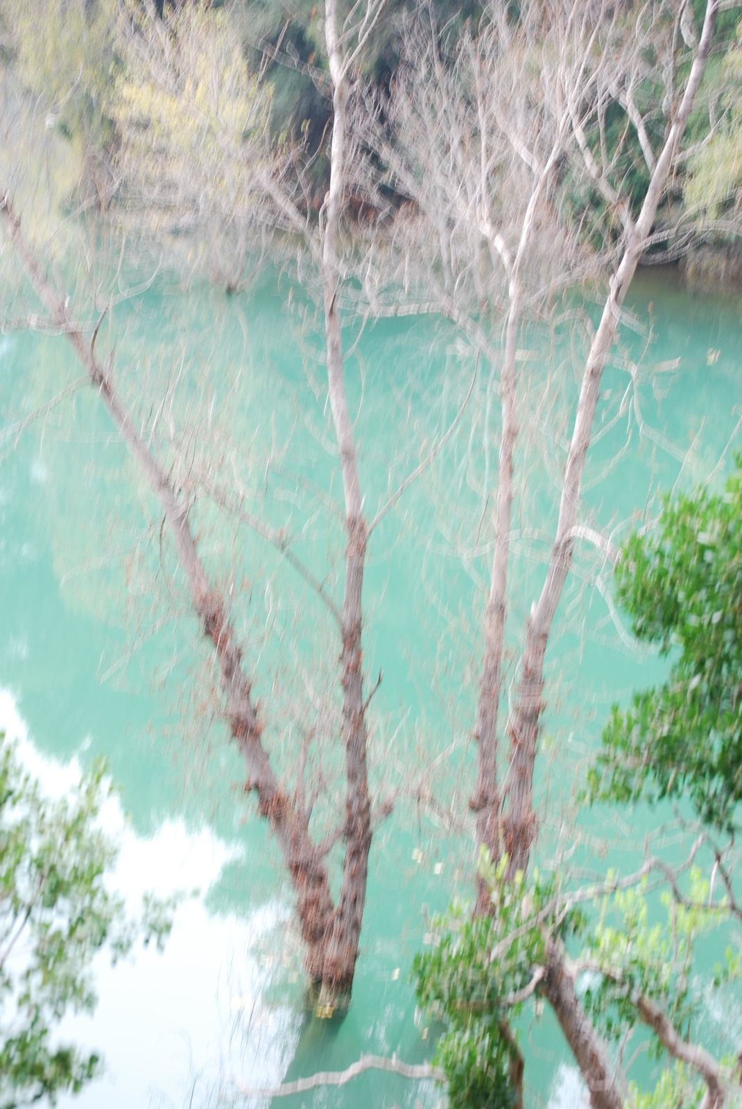 Eaux turquoises