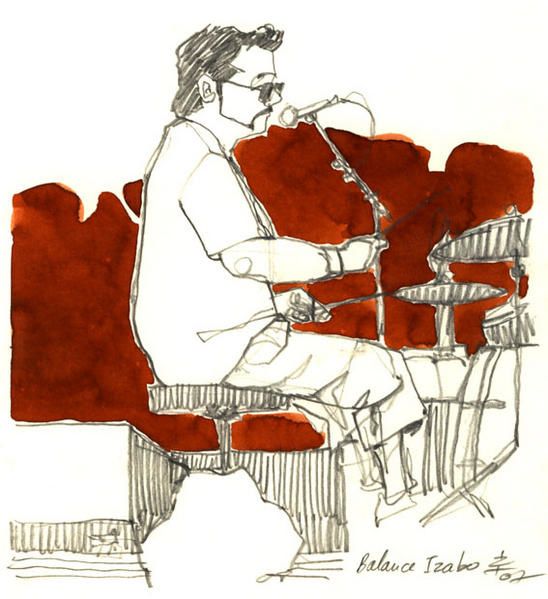 Izabo-Batterie.jpg