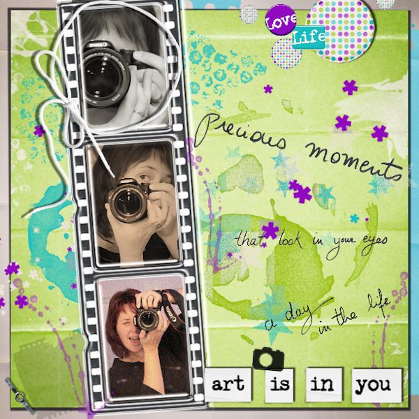 cardamome pictureyourlife