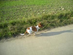 DSCN0127.JPG