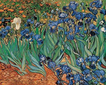 iris-Vincent Van Gogh - 1889