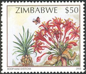 timbre zimbabwe