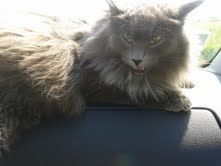 Fanny-5.jpg
