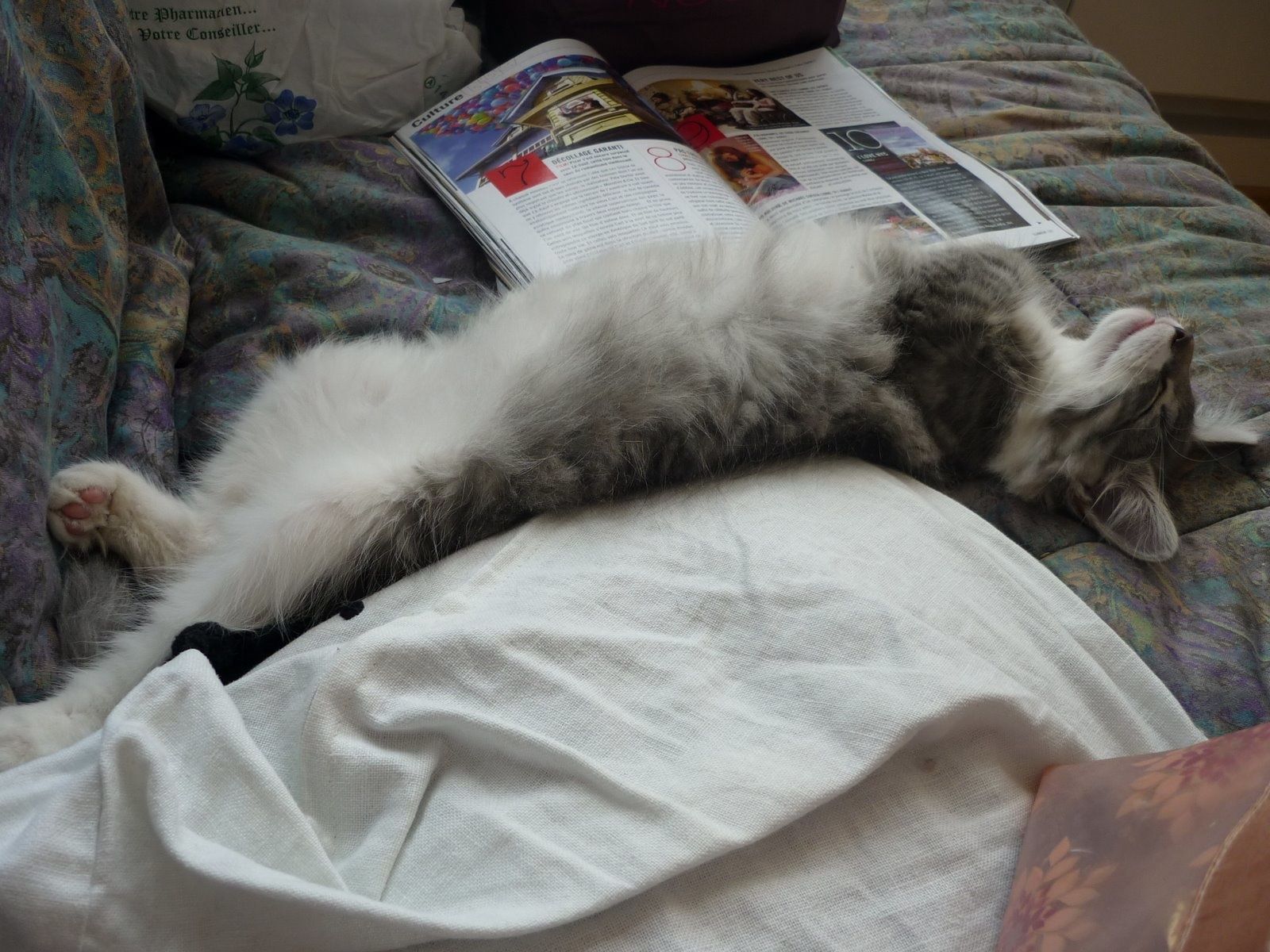 EGLANTINE-4.jpg