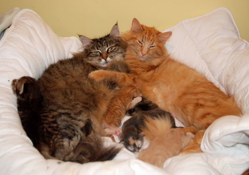 photo-de-famille0001.jpg