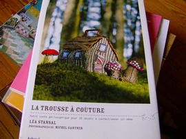 HPIM1628-trouss-cout.jpg