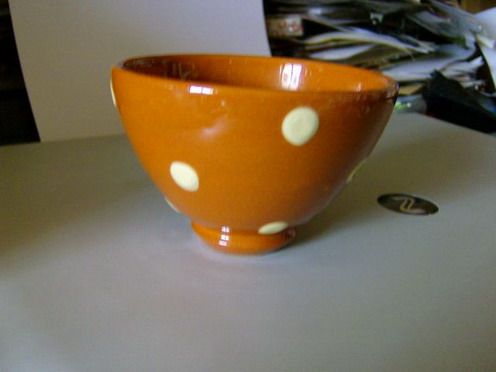 HPIM0806--.jpg