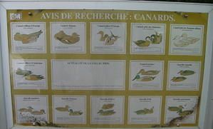 -jardin-botanique-panneau-2.jpg