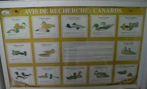-jardin-botanique-panneau-3.jpg