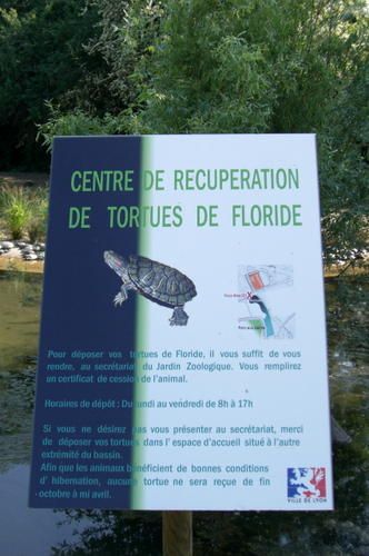 1-tortue-pancarte.jpg