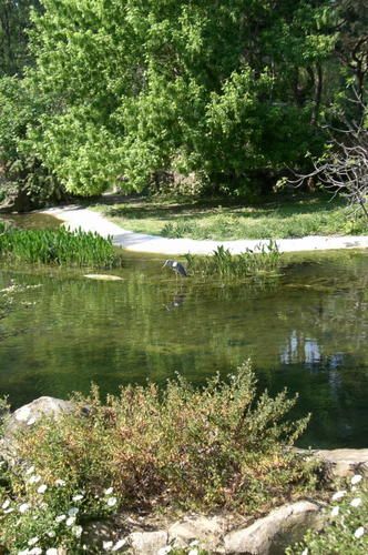 heron0w.jpg