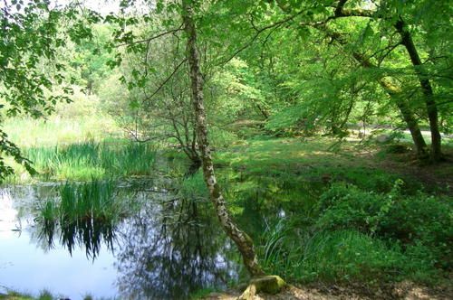 mare-aux-fees-1w.jpg