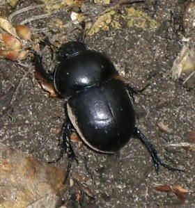 mare-aux-fees-5w.jpg