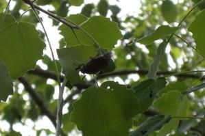 mare-aux-fees-6w.jpg