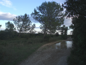 Image-5s2plato22118.png