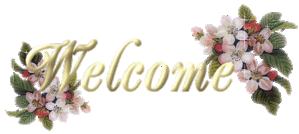 welcome-14-copie-1.gif