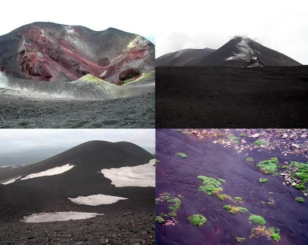 ETNA.jpg