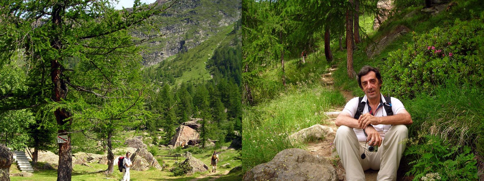 accompagnatore-devero.jpg