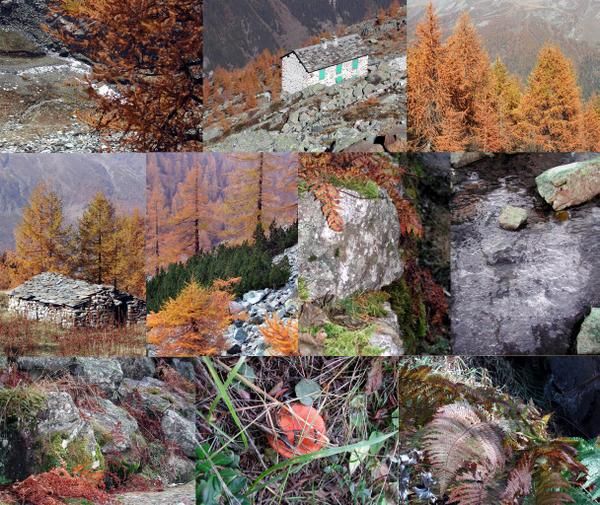 colori-autunnali.jpg