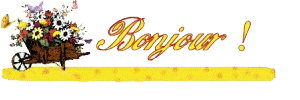 bonjour155.gif