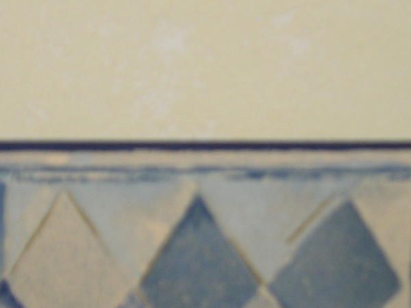 P10100661.JPG