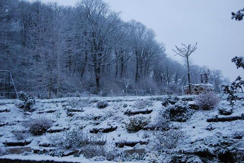 DSC_4456.JPG