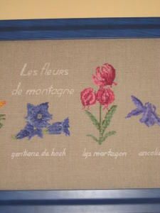 Les-fleurs-de-montagne-d--tail-2.JPG