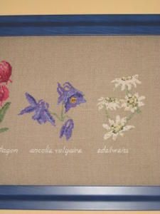 Les-fleurs-de-montagne-d--tail-3.JPG