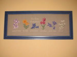 Les-fleurs-de-montagne.JPG