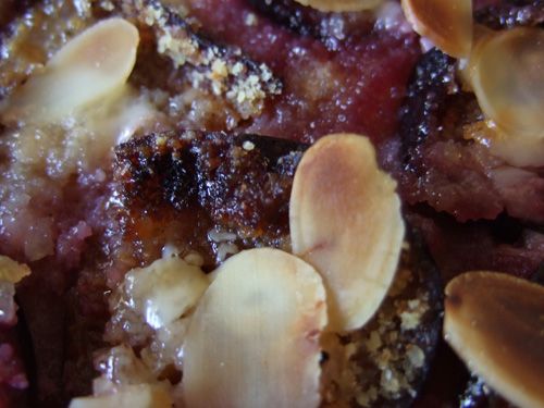 tarte-quetsches-amandes02.jpg