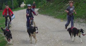 Jura Husky Family - Une famille du Haut Jura vous fait Jura Husky Family - Une famille du Haut Jura vous fait