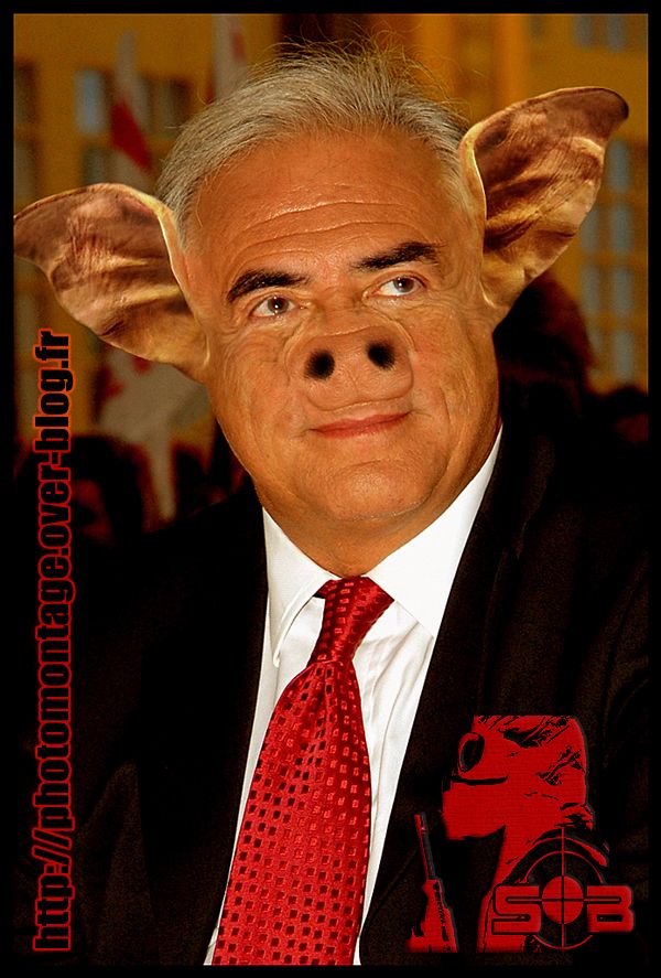 http://idata.over-blog.com/1/01/73/86/GAUCHE/DSK-A-LA-GRIPPE-PORCINE-SB.jpg