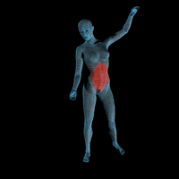 abd.gif
